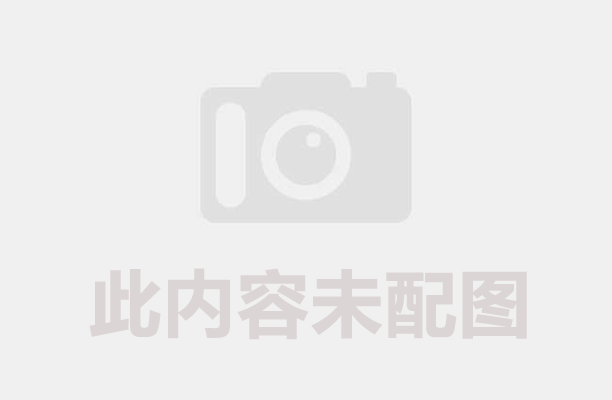 生物质羞羞在线观看点亮了造纸污泥再生之旅